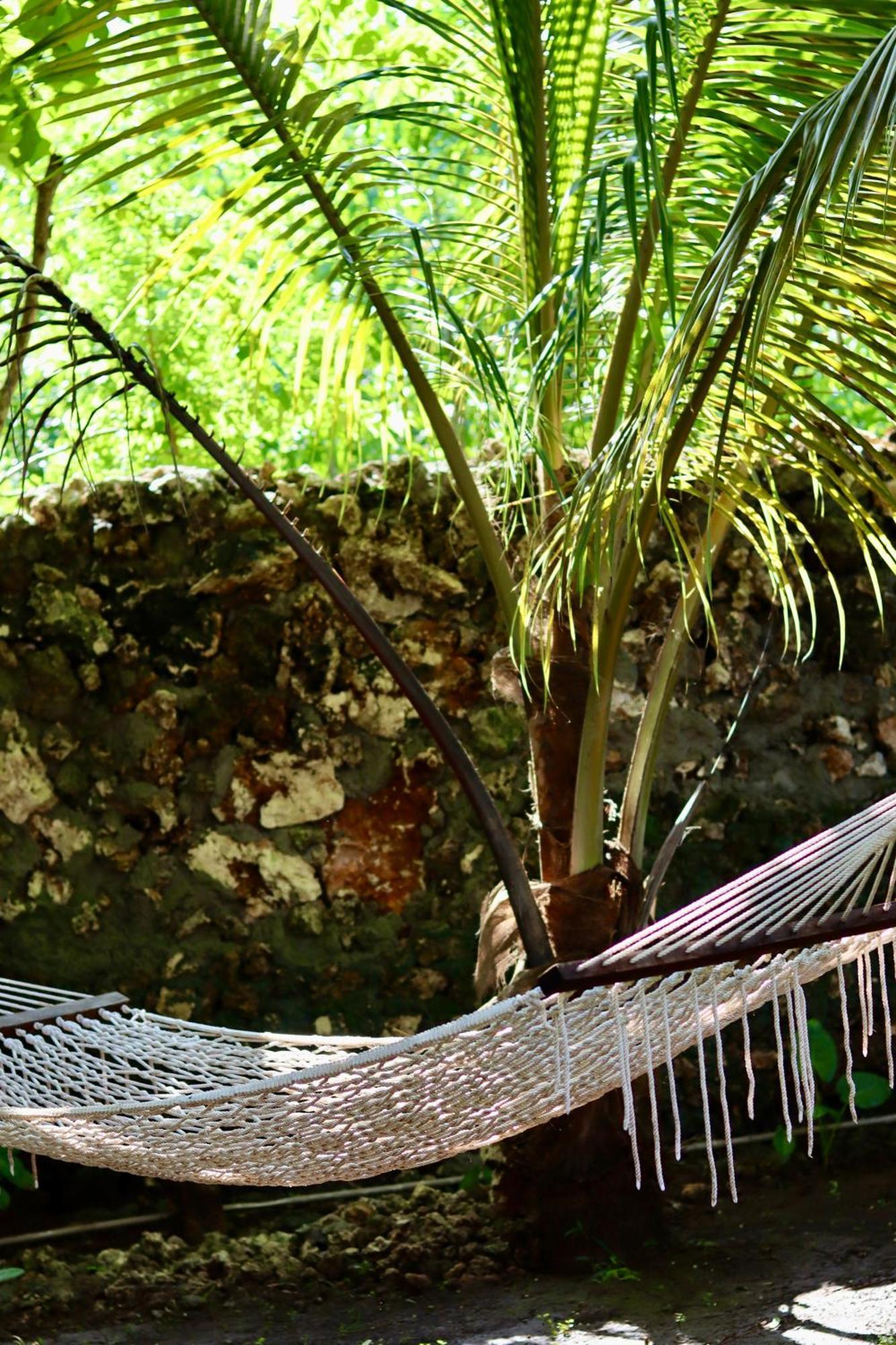 Embe Lodge Kizimkazi Ngoại thất bức ảnh